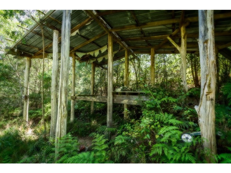 239 Wiriri Rd, Billy’s Creek, Dorrigo NSW 2453