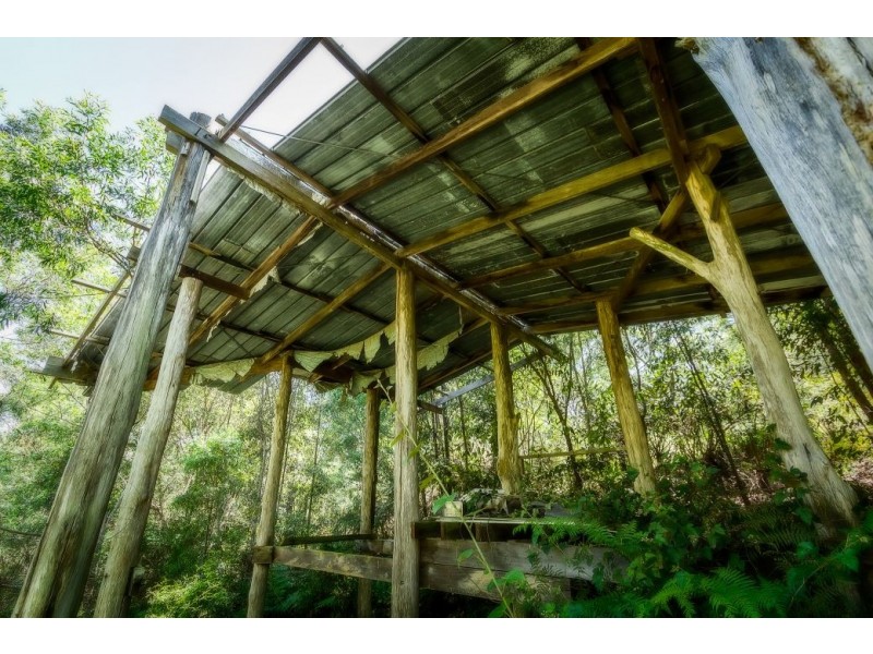 239 Wiriri Rd, Billy’s Creek, Dorrigo NSW 2453