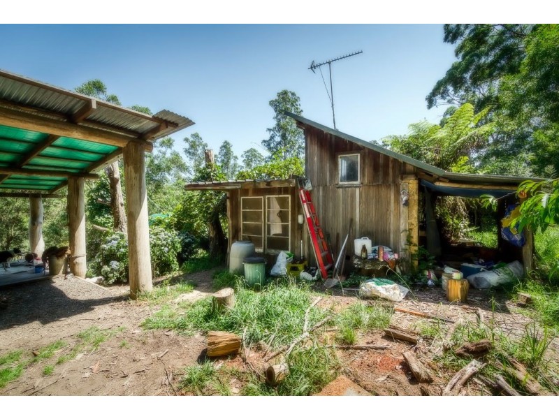 239 Wiriri Rd, Billy’s Creek, Dorrigo NSW 2453