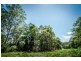 239 Wiriri Rd, Billy’s Creek, Dorrigo NSW 2453
