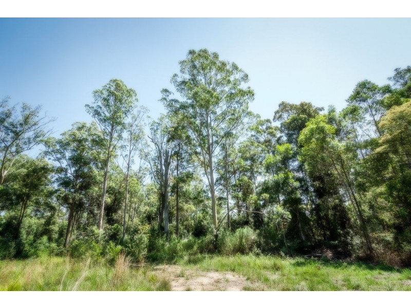 239 Wiriri Rd, Billy’s Creek, Dorrigo NSW 2453