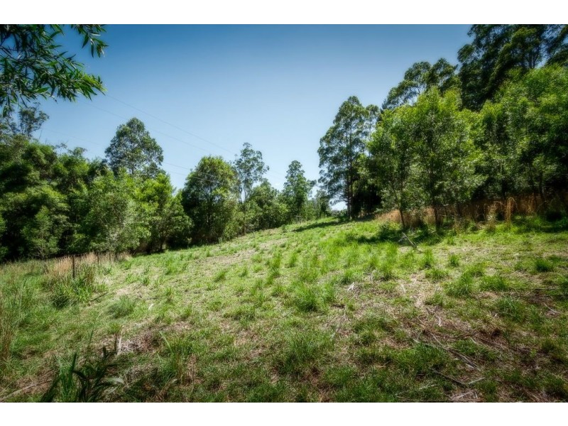239 Wiriri Rd, Billy’s Creek, Dorrigo NSW 2453