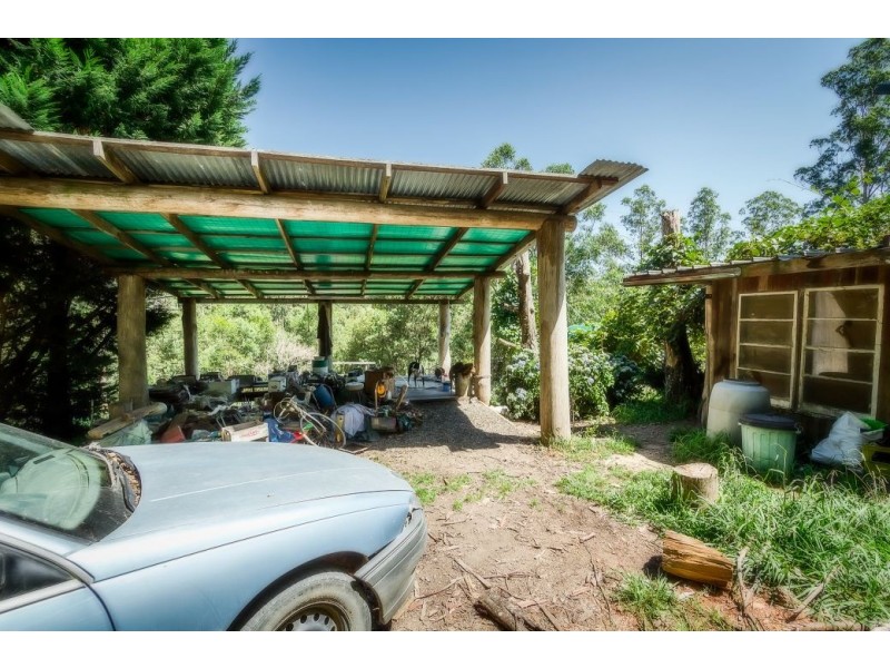 239 Wiriri Rd, Billy’s Creek, Dorrigo NSW 2453