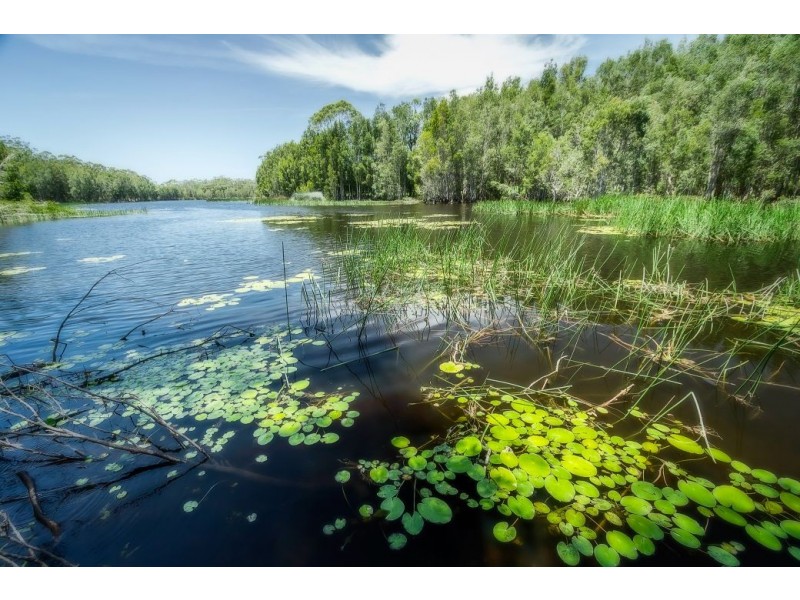 10 Osprey Drive, Hungry Head, Urunga NSW 2455