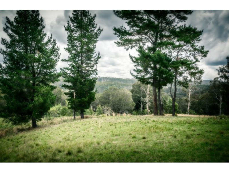 363 Moonpar Rd, Moonpar, Dorrigo NSW 2453