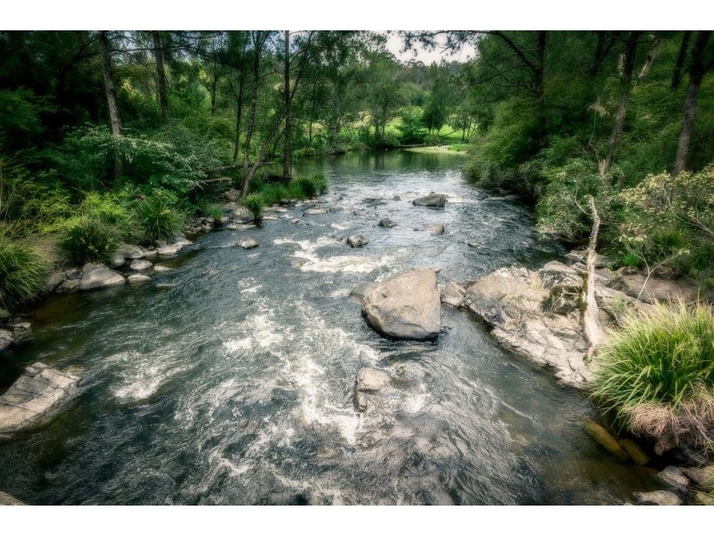 363 Moonpar Rd, Moonpar, Dorrigo NSW 2453