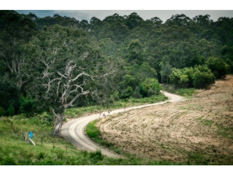 363 Moonpar Rd, Moonpar, Dorrigo NSW 2453