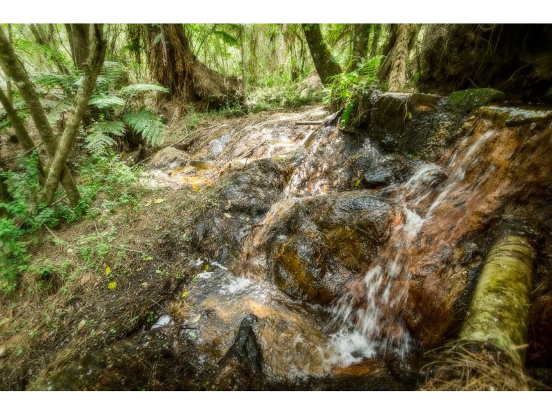 363 Moonpar Rd, Moonpar, Dorrigo NSW 2453