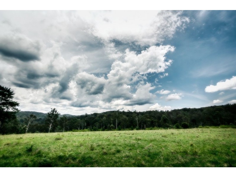 363 Moonpar Rd, Moonpar, Dorrigo NSW 2453