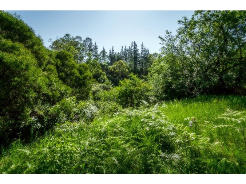 22 Mount St, Dundurrabin, Dorrigo NSW 2453