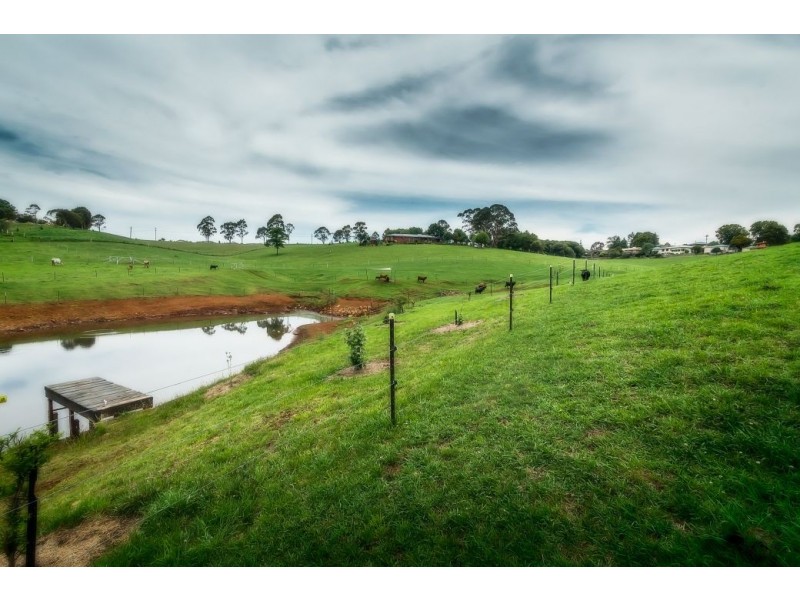 24 Kurrajong, Dorrigo NSW 2453