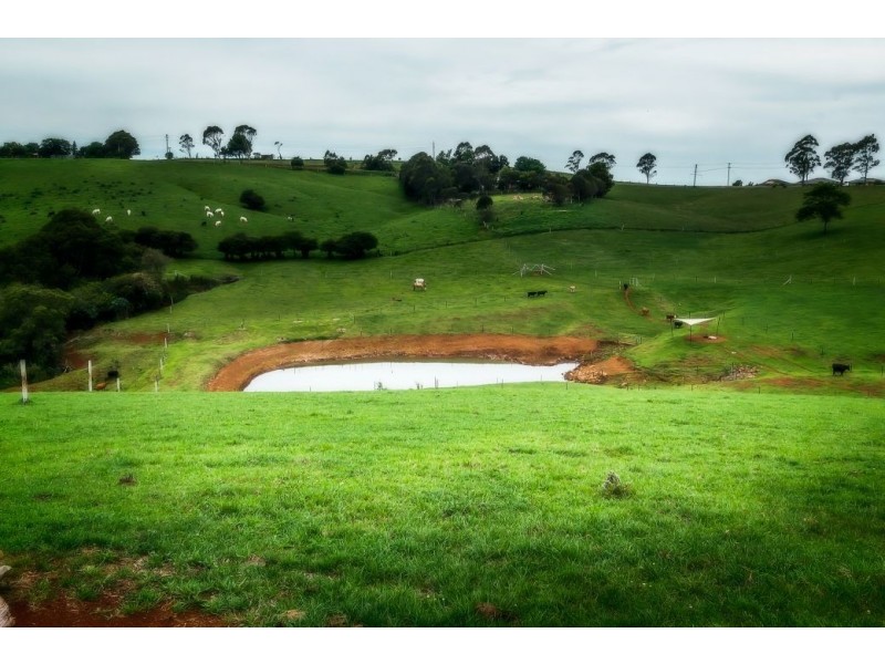 24 Kurrajong, Dorrigo NSW 2453