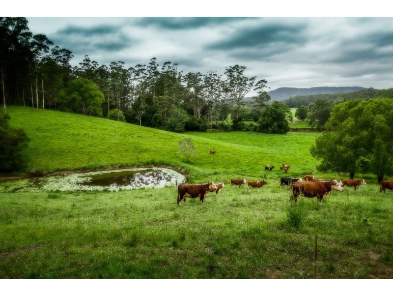 75 Hains Lane, Brierfield, Bellingen NSW 2454