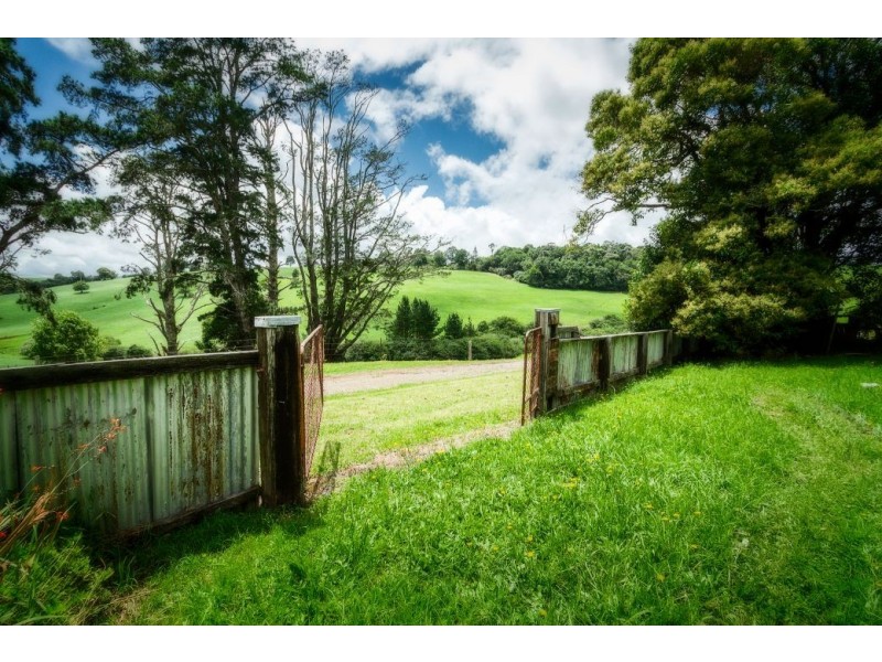 68 Kurrajong Street, Dorrigo NSW 2453
