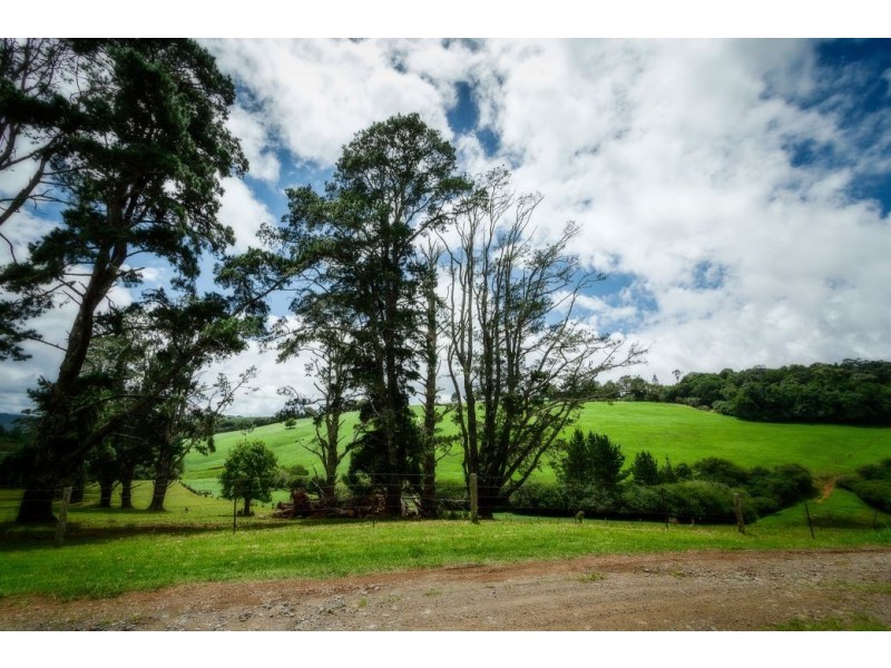68 Kurrajong Street, Dorrigo NSW 2453