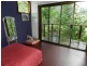 7 Scotchman Road, Bellingen NSW 2454