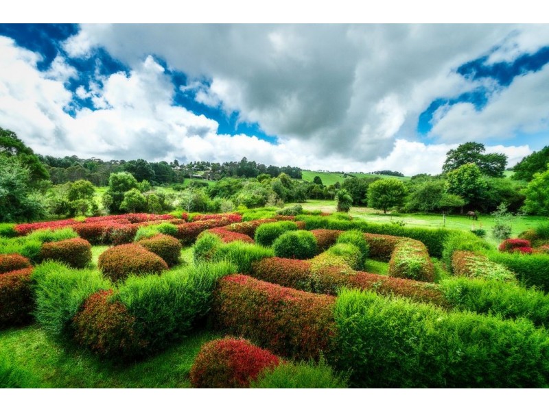 2 Bean Street, Dorrigo NSW 2453