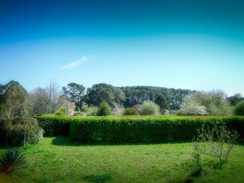 2 Bean Street, Dorrigo NSW 2453