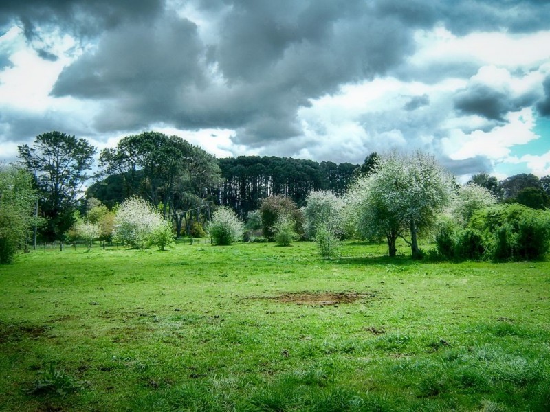 2 Bean Street, Dorrigo NSW 2453