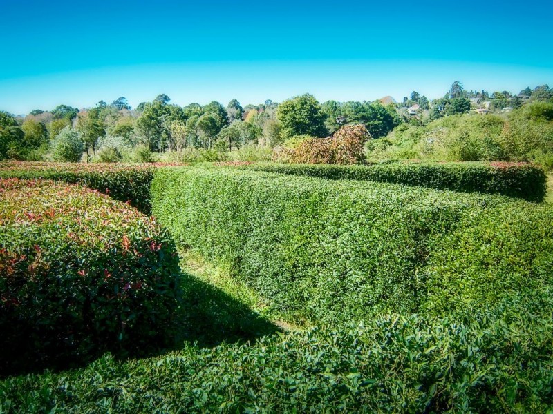 2 Bean Street, Dorrigo NSW 2453