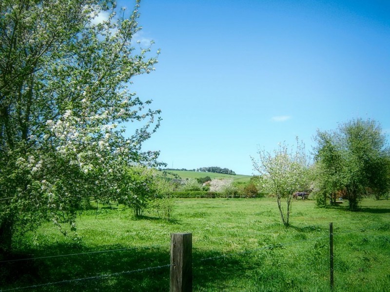 2 Bean Street, Dorrigo NSW 2453