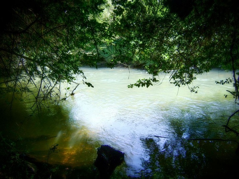 2 Bean Street, Dorrigo NSW 2453