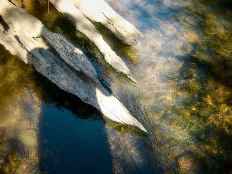 2 Bean Street, Dorrigo NSW 2453