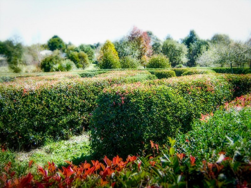 2 Bean Street, Dorrigo NSW 2453