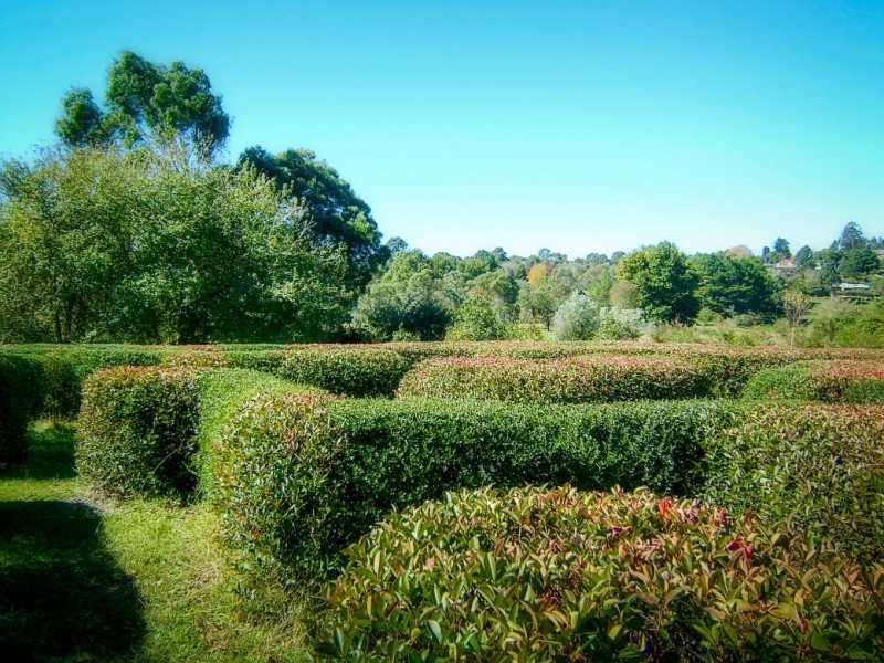 2 Bean Street, Dorrigo NSW 2453