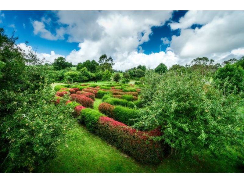 2 Bean Street, Dorrigo NSW 2453