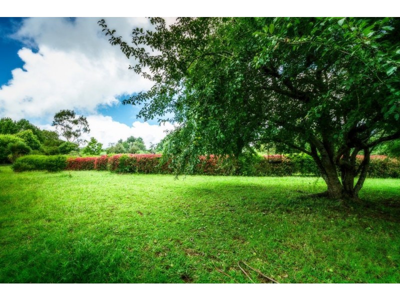 2 Bean Street, Dorrigo NSW 2453