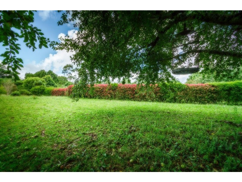 2 Bean Street, Dorrigo NSW 2453