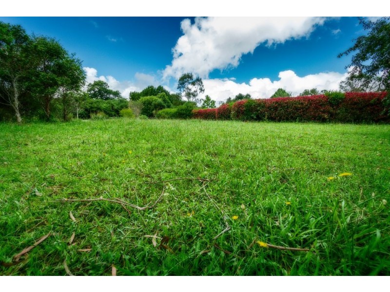 2 Bean Street, Dorrigo NSW 2453