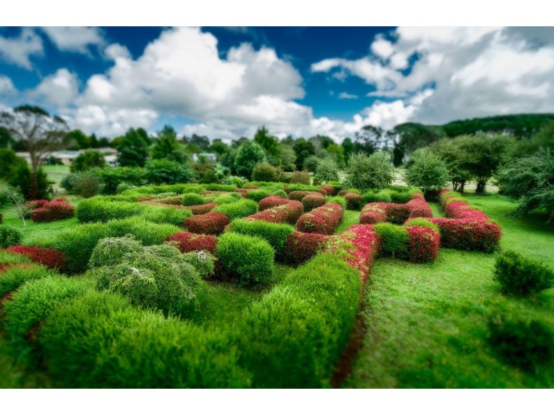 2 Bean Street, Dorrigo NSW 2453