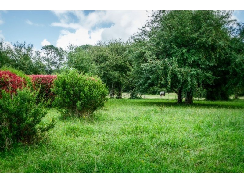 2 Bean Street, Dorrigo NSW 2453