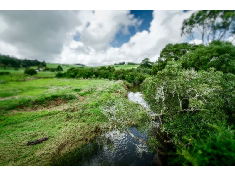 2 Bean Street, Dorrigo NSW 2453