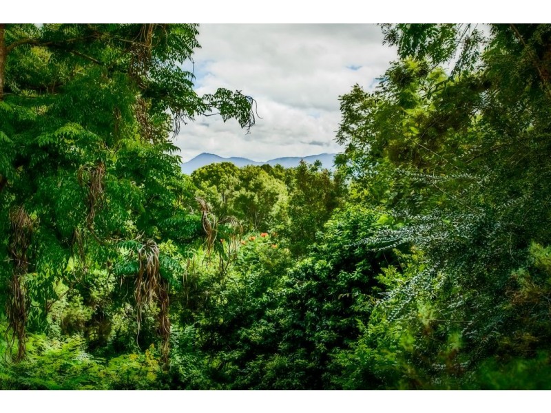 14 Funda Close, Bellingen NSW 2454