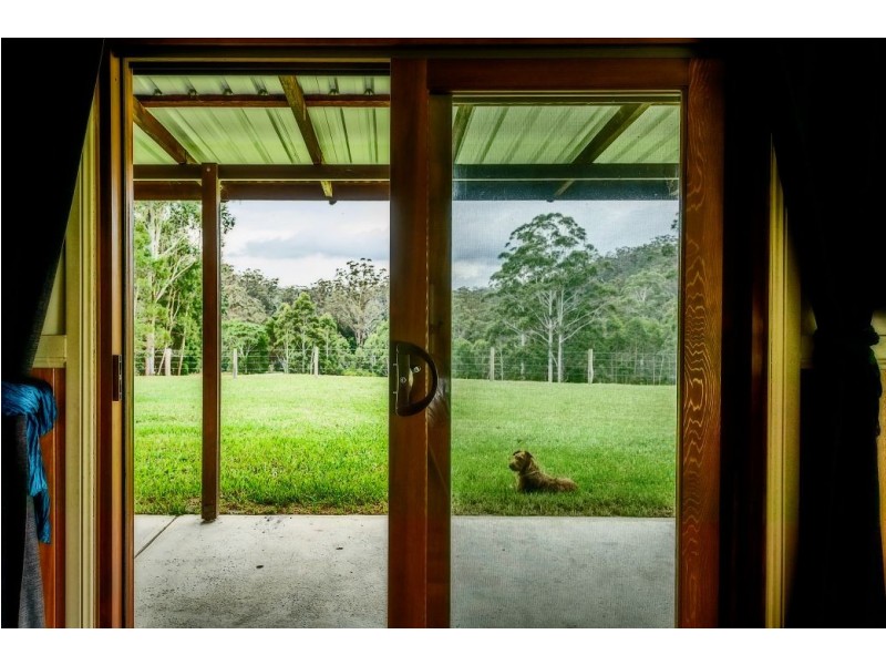 180 Kirtons Rd, Brooklana, Dorrigo NSW 2453