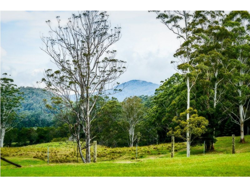 180 Kirtons Rd, Brooklana, Dorrigo NSW 2453
