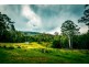 180 Kirtons Rd, Brooklana, Dorrigo NSW 2453