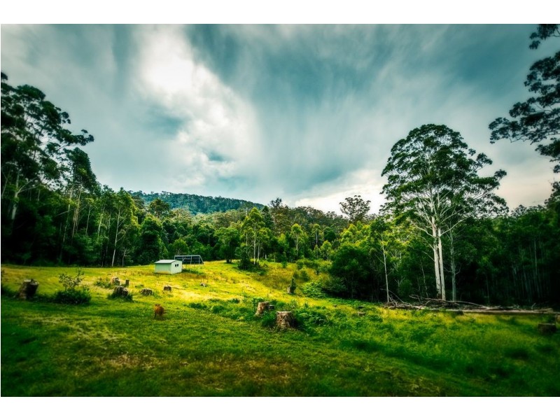 180 Kirtons Rd, Brooklana, Dorrigo NSW 2453