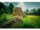 180 Kirtons Rd, Brooklana, Dorrigo NSW 2453