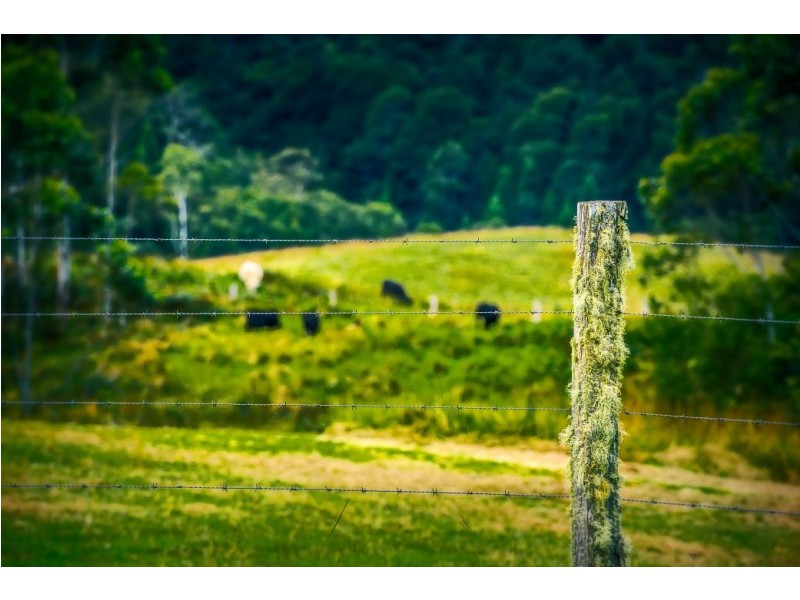 180 Kirtons Rd, Brooklana, Dorrigo NSW 2453