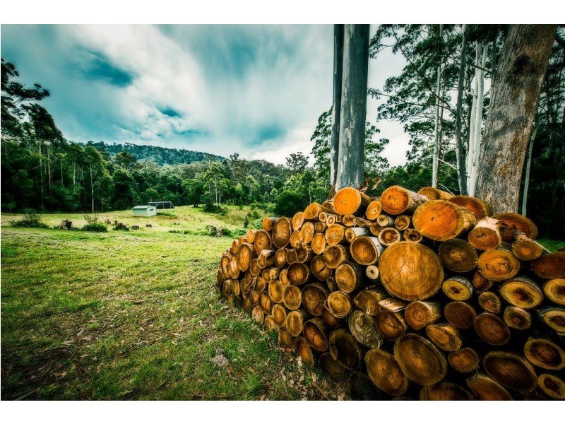 180 Kirtons Rd, Brooklana, Dorrigo NSW 2453