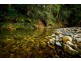 180 Kirtons Rd, Brooklana, Dorrigo NSW 2453