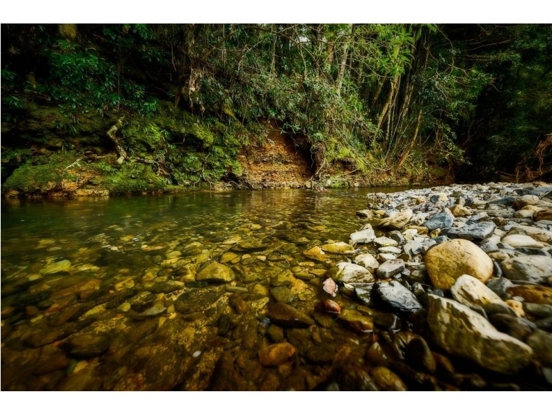 180 Kirtons Rd, Brooklana, Dorrigo NSW 2453