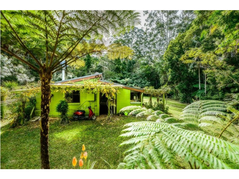 726 Kalang Rd, Kalang, Bellingen NSW 2454