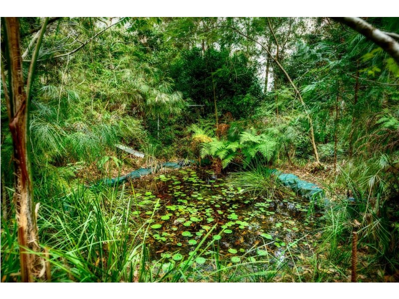 726 Kalang Rd, Kalang, Bellingen NSW 2454