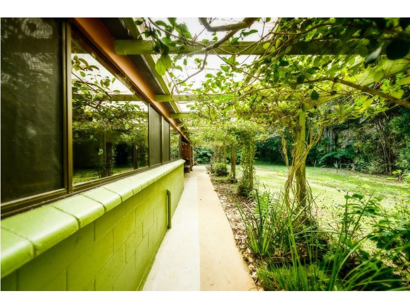 726 Kalang Rd, Kalang, Bellingen NSW 2454