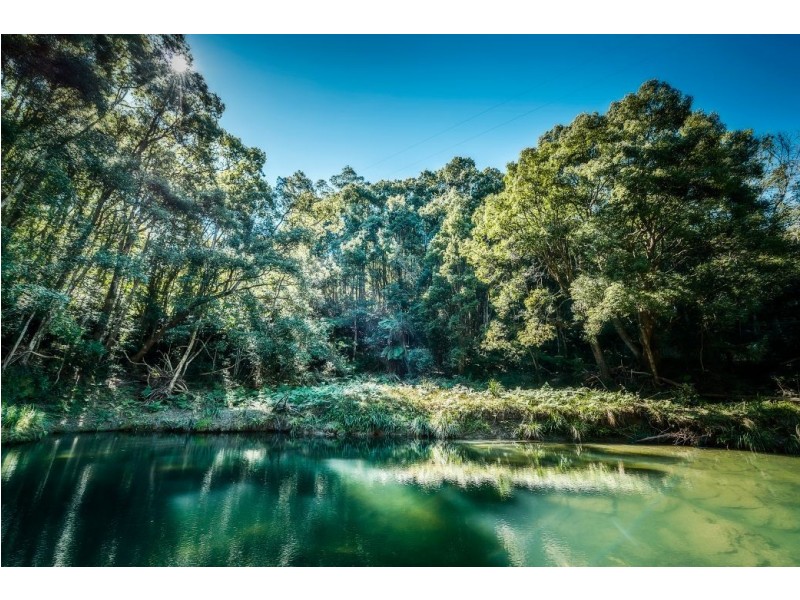 2300 Kalang Rd, Kalang, Bellingen NSW 2454